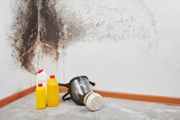 Best Crawl Space Mold Removal  in Bannockburn, IL