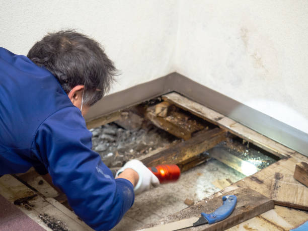 Best Water Damage Restoration  in Bannockburn, IL