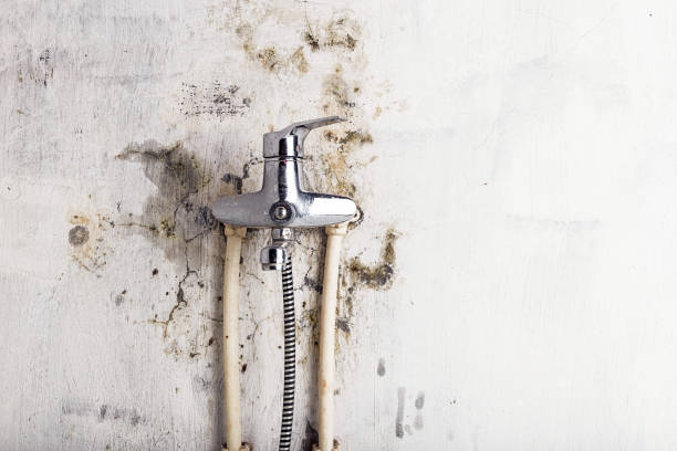 Best Office Mold Removal Services  in Bannockburn, IL