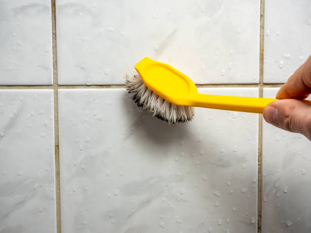 Best Home Mold Removal  in Bannockburn, IL