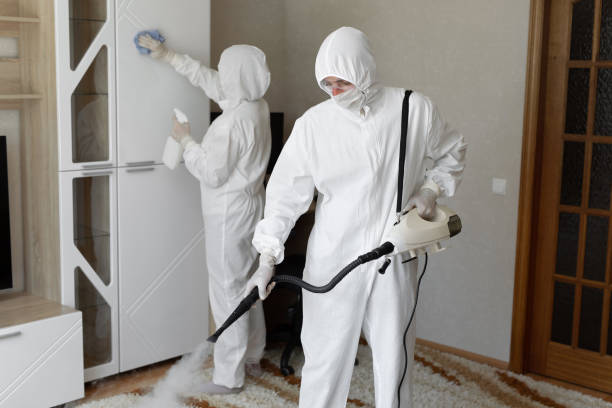 Mold Testing and Removal in Bannockburn, IL