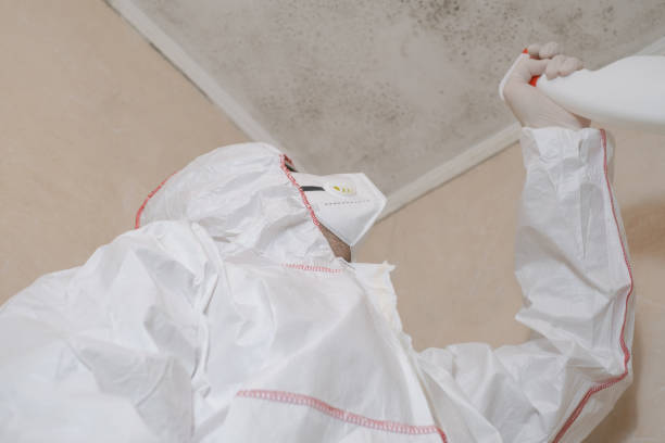 Best Emergency Mold Removal  in Bannockburn, IL